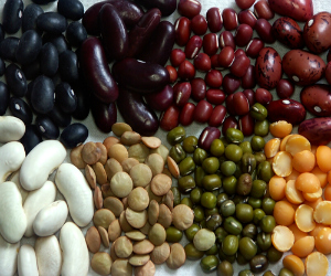 Beans from a famer's market